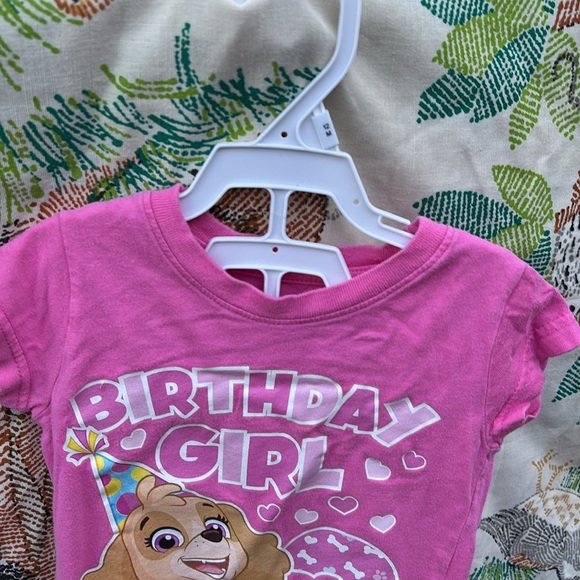 Nickelodeon Paw Patrol Pink SS 3rd Birthday Girl T-Shirt with Cartoon Design 2T - Picture 3 of 16